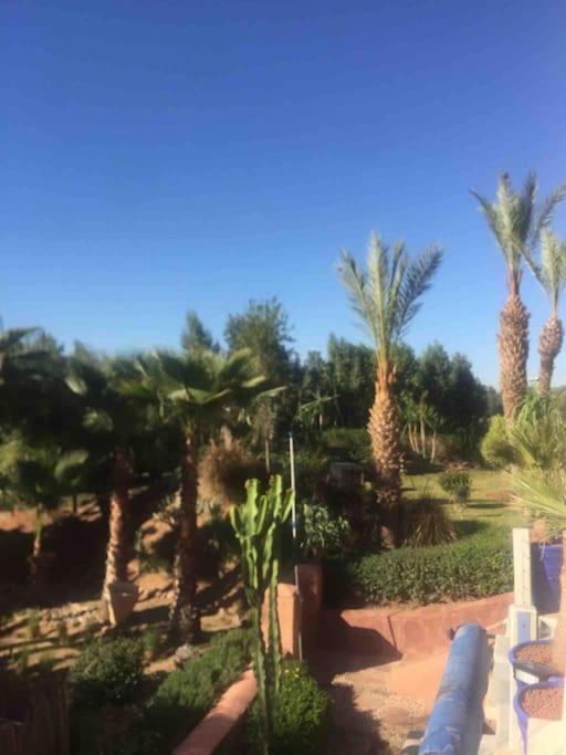 Jolyamelkis - Golf Marrakech *