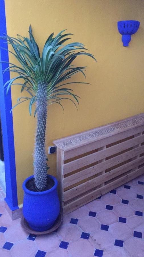 Riad Riad Le Nid Bleu D'hôtes Marrakech Marrakesh