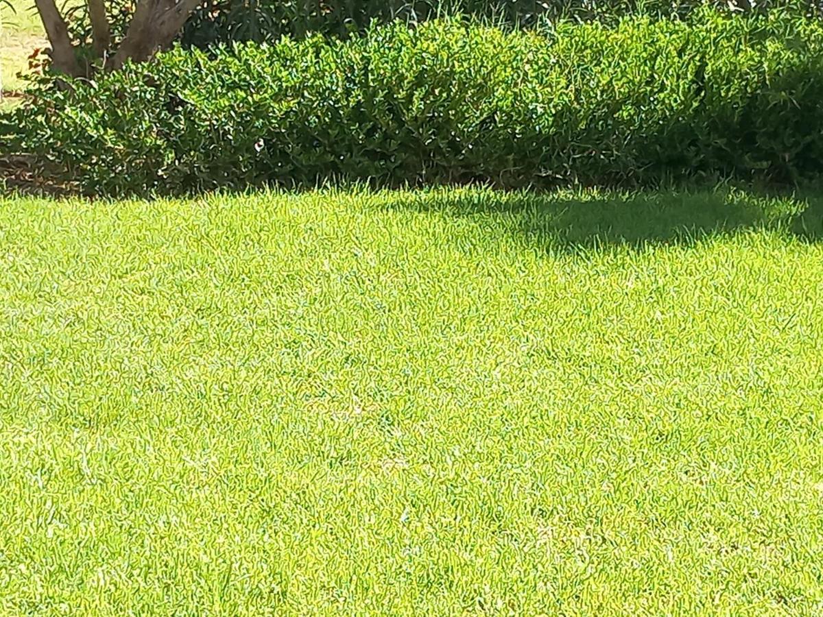 Superbe Appt Prestigia Sur Golf Rez De Jardin Appartement
