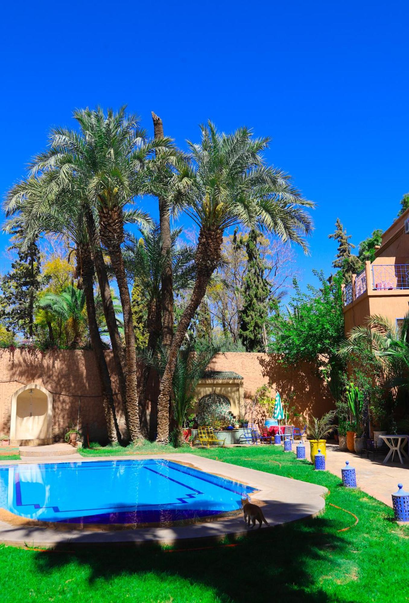16 * Marrakesh