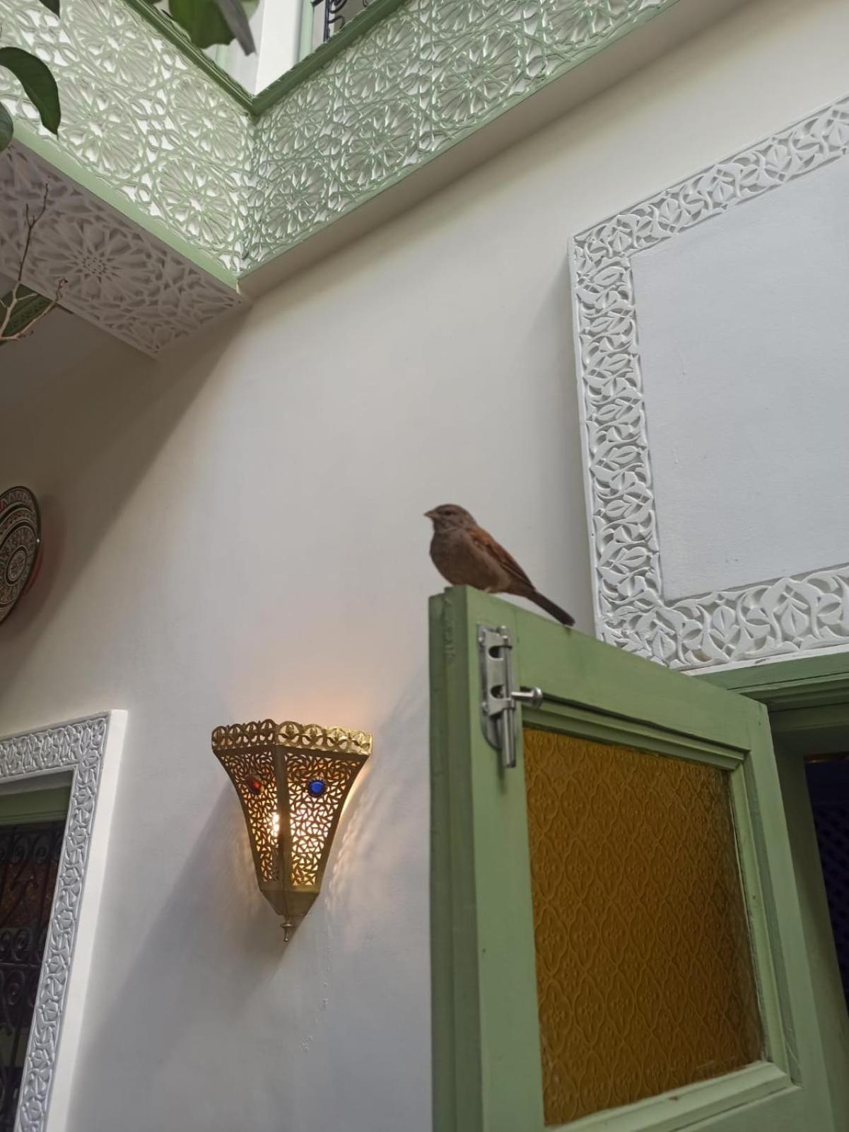 Med Agora * Marrakesch