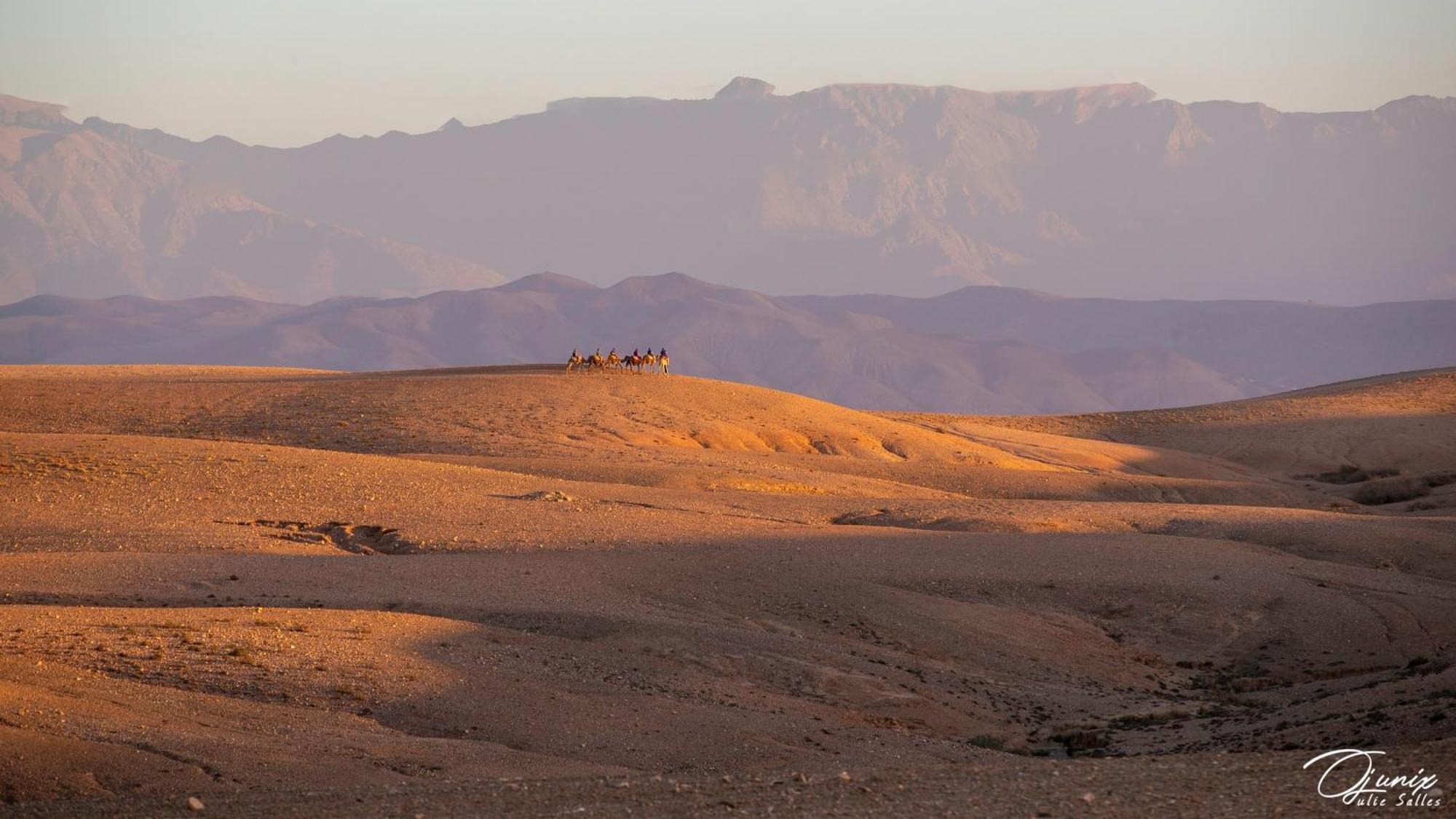 Zoraida 4* Marrakesch