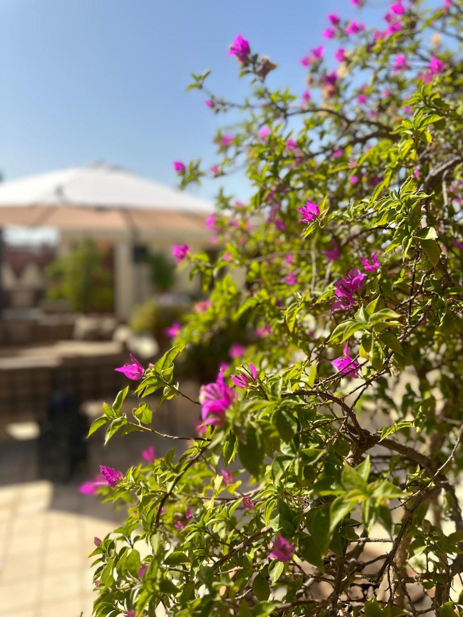 La Claire Fontaine 3* Marrakesh