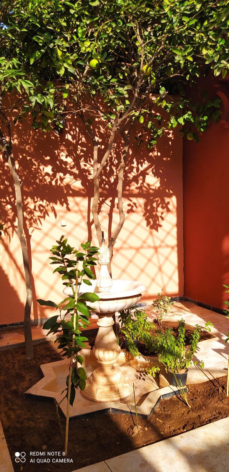 Pensión Le Petit Jardin Marrakech