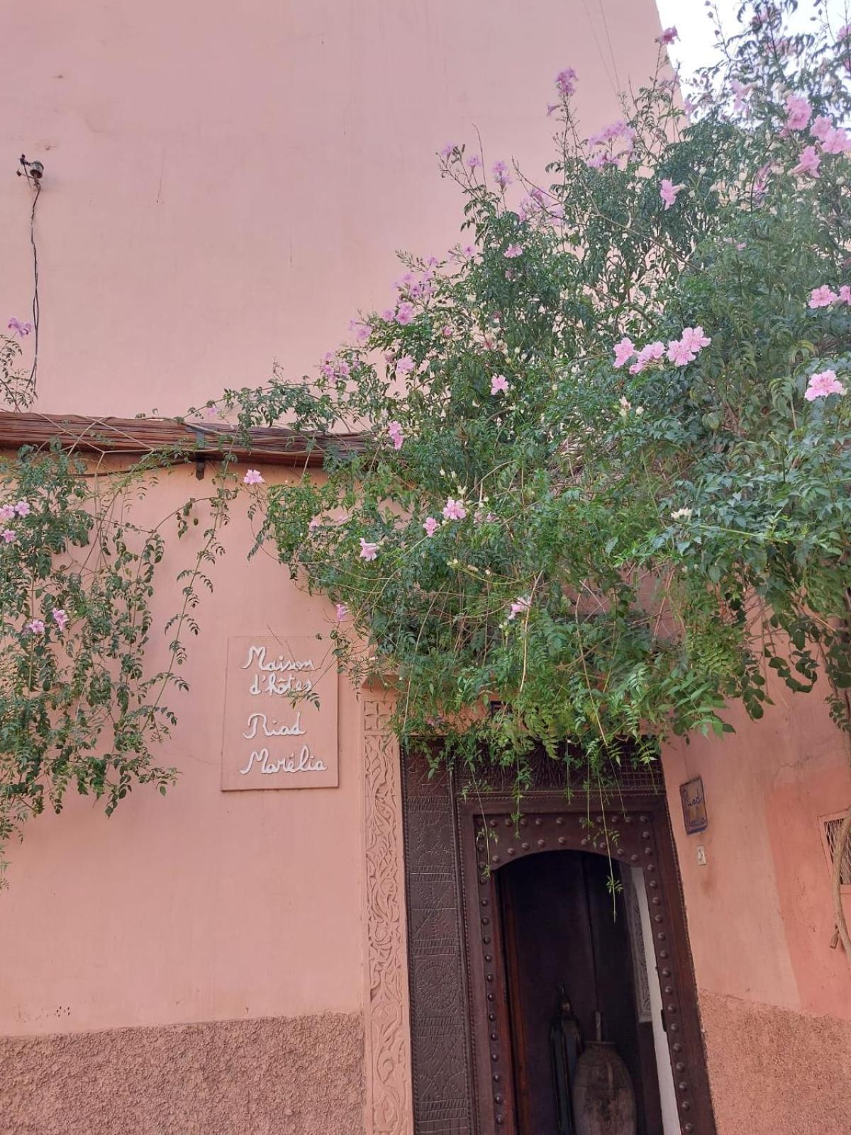 Marelia Riad Marrakesch