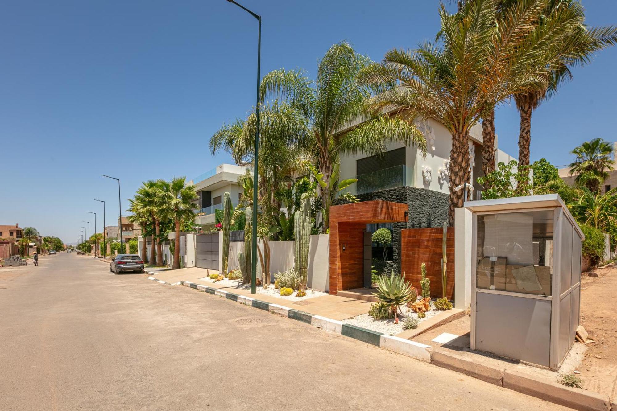 Zari * Marrakesh