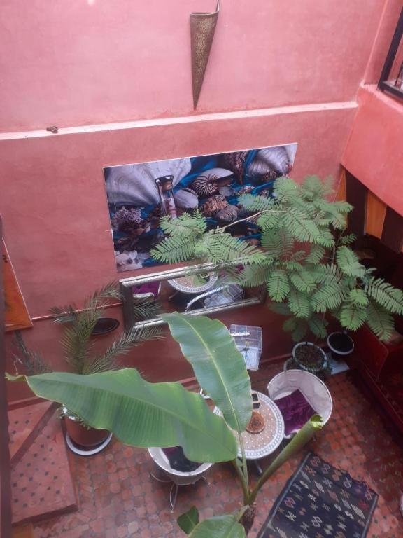 Hanafi * Marrakesh