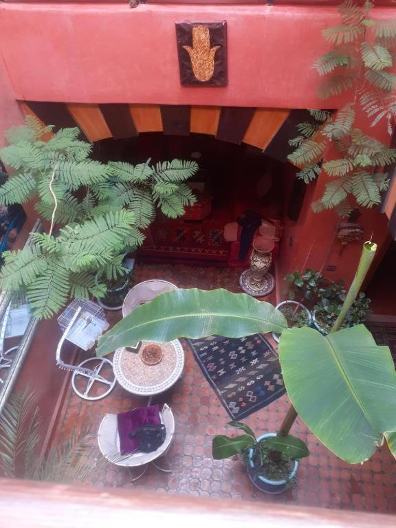 Hanafi * Marrakesh