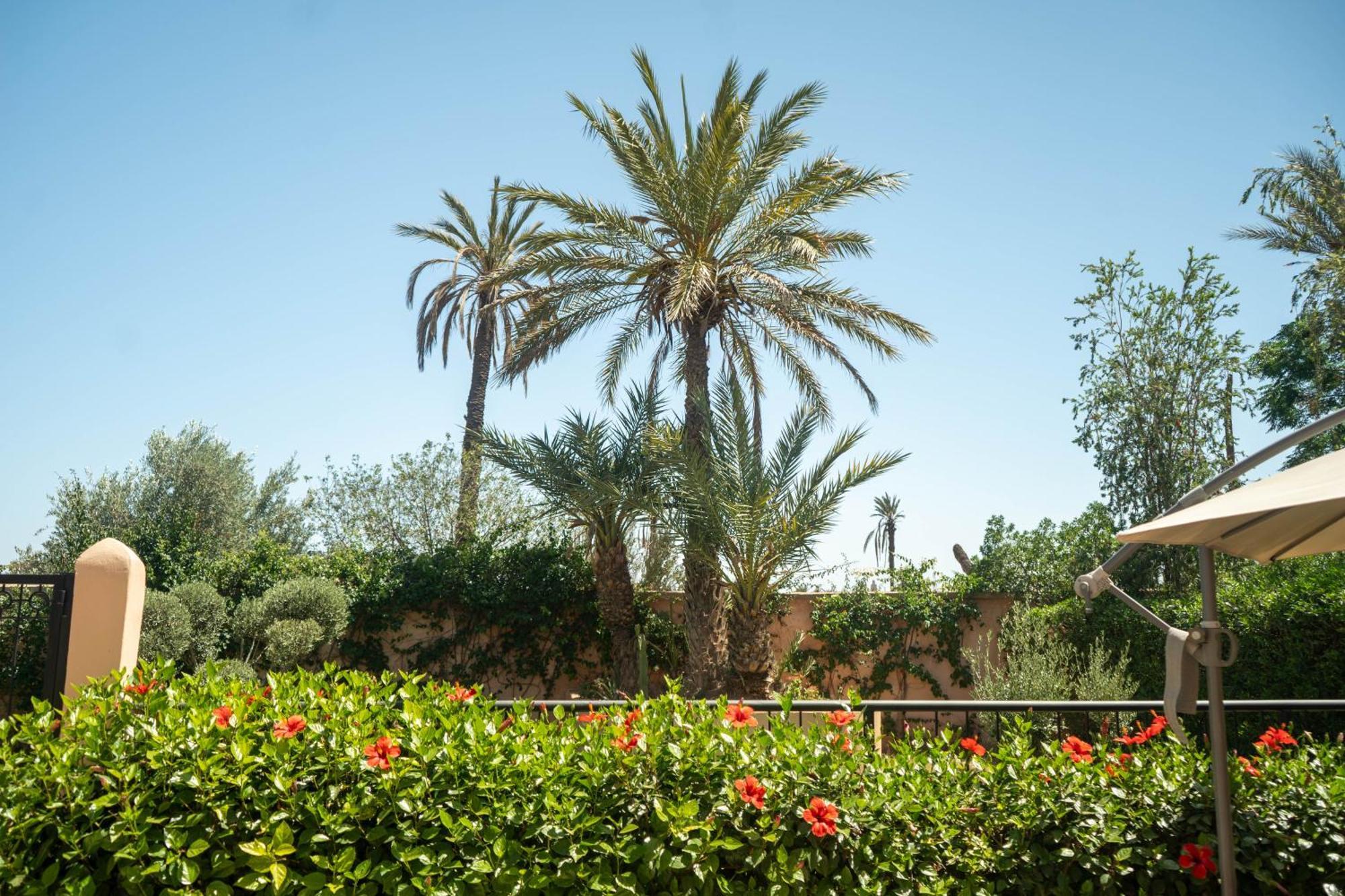 Villa Avec Piscine Privee - Eden Palm - La Palmeraie