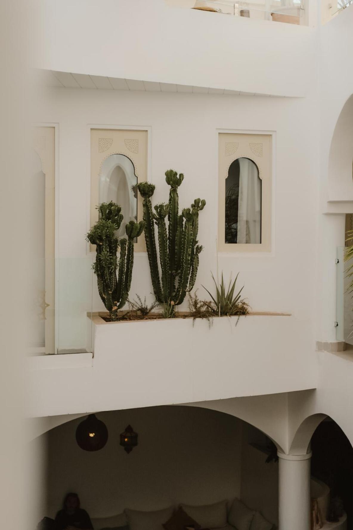 Dar Blanche Riad Marrakesch