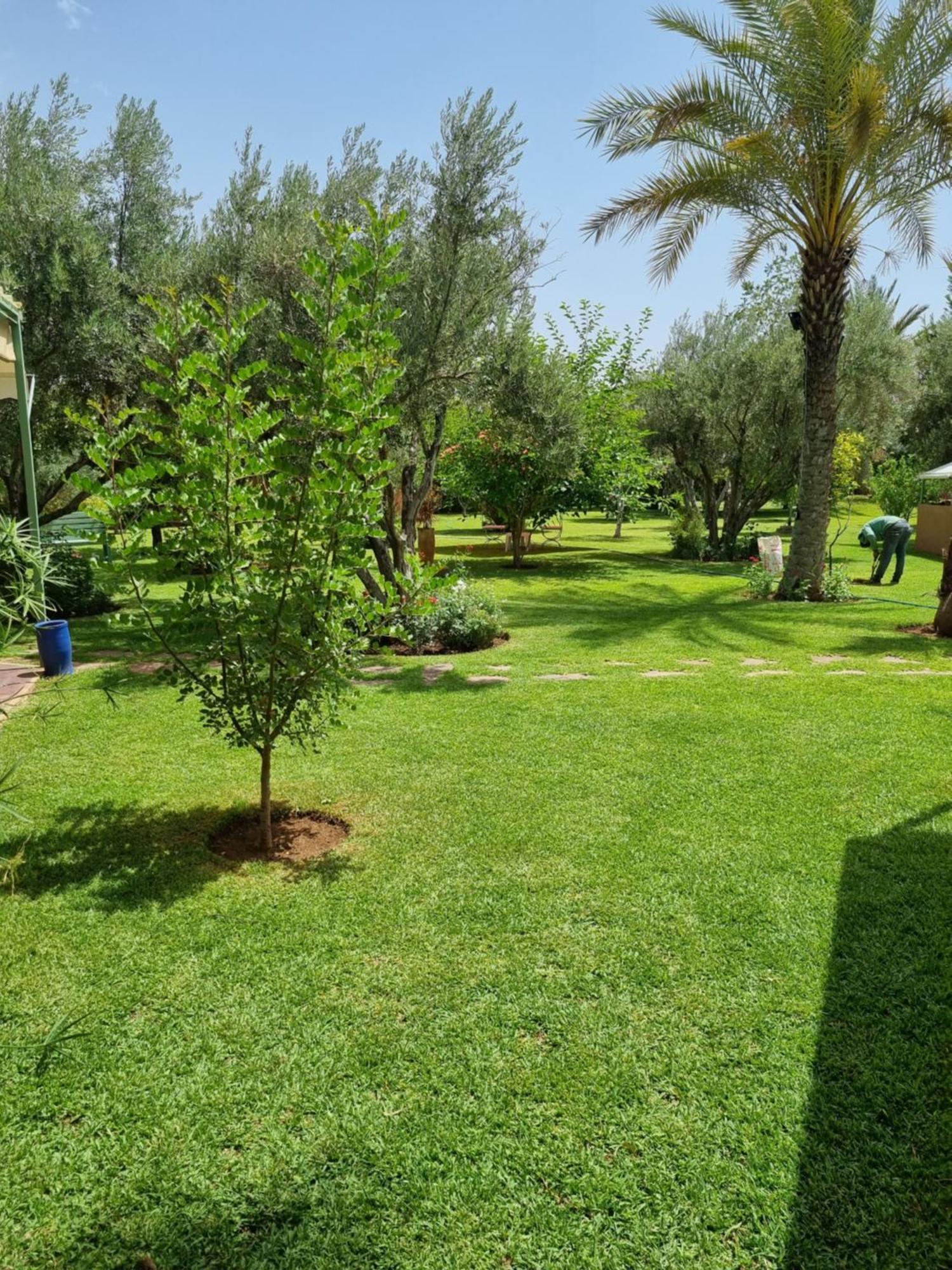 Les Deux Citronniers Gasthof Marrakesch