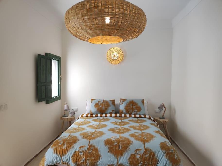 Caravane Palace 4 En Exclusivite