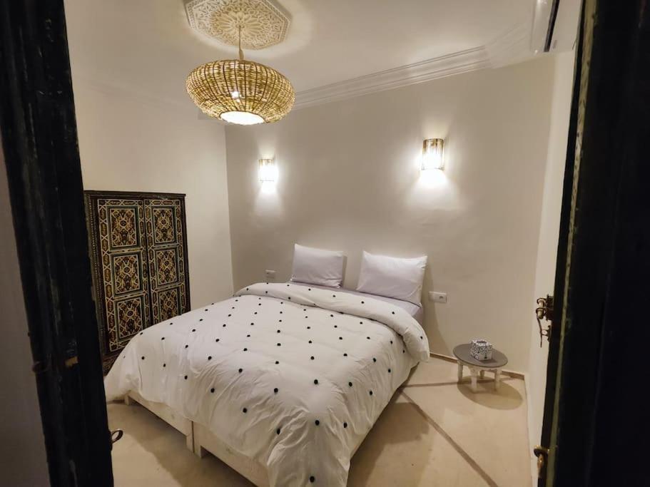 Caravane Palace 4 En Exclusivite * Marrakesh