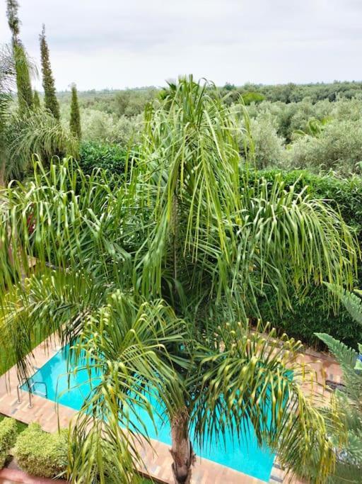 Villa Maison Jnan Ghmat *