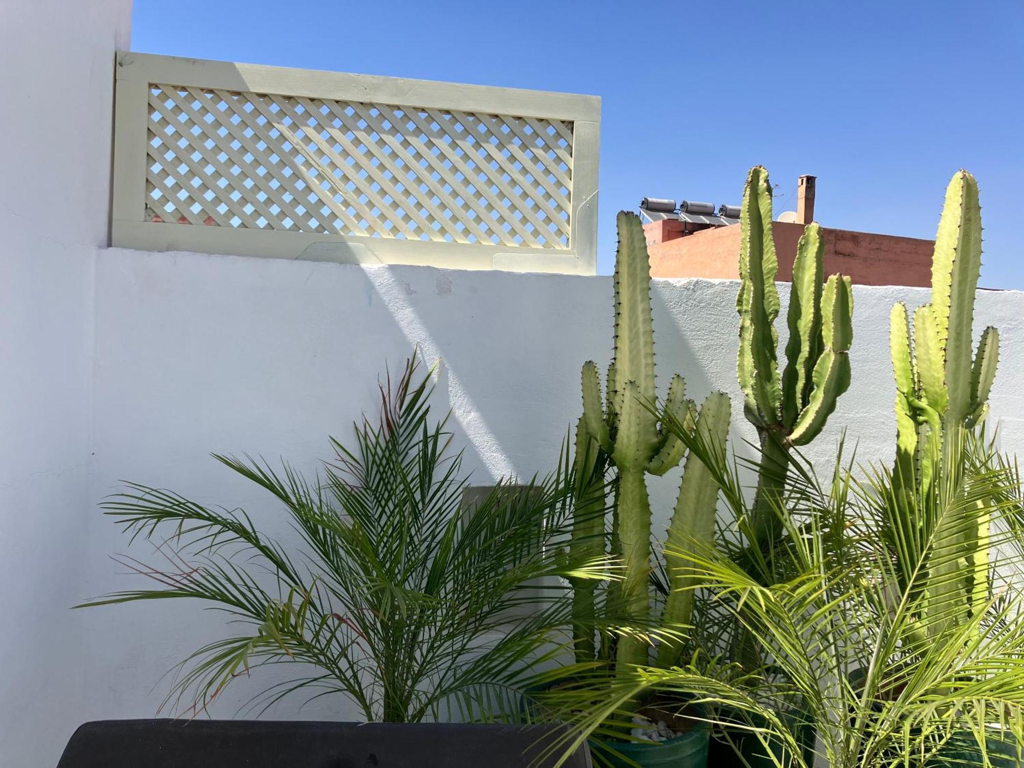 Guest house Riad Royal *