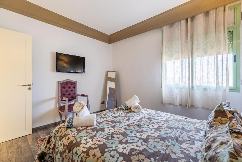 Location New Hivernag Pool Freeparking