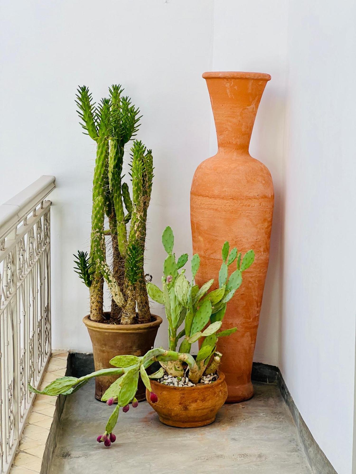 Prive, 5 Vakantiehuis Marrakesh