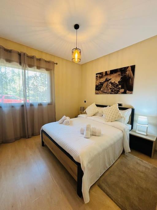 Rez De Jardin Prestigia Opale Appartement