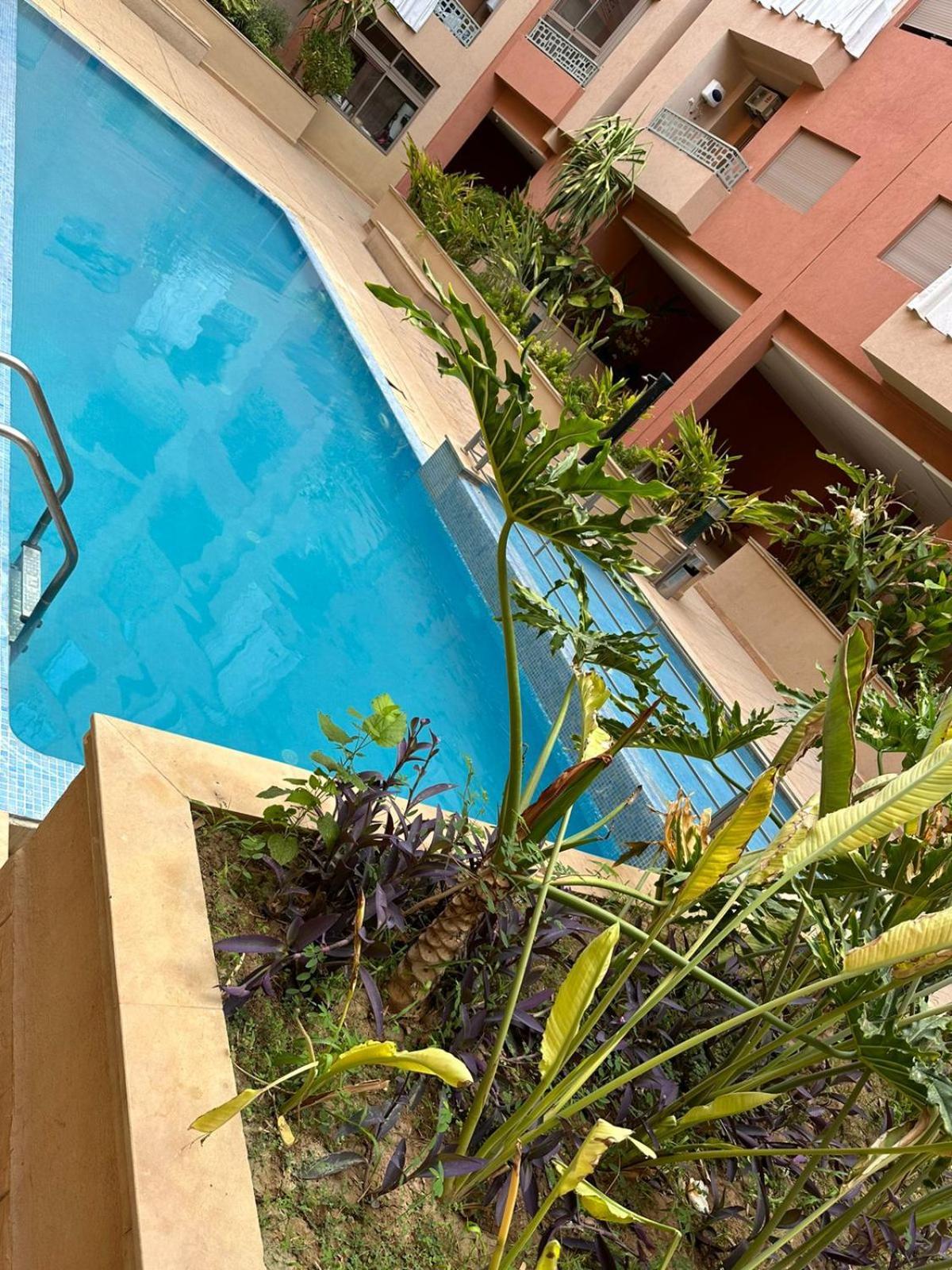 Appartement Le Saphir Un De Paradis