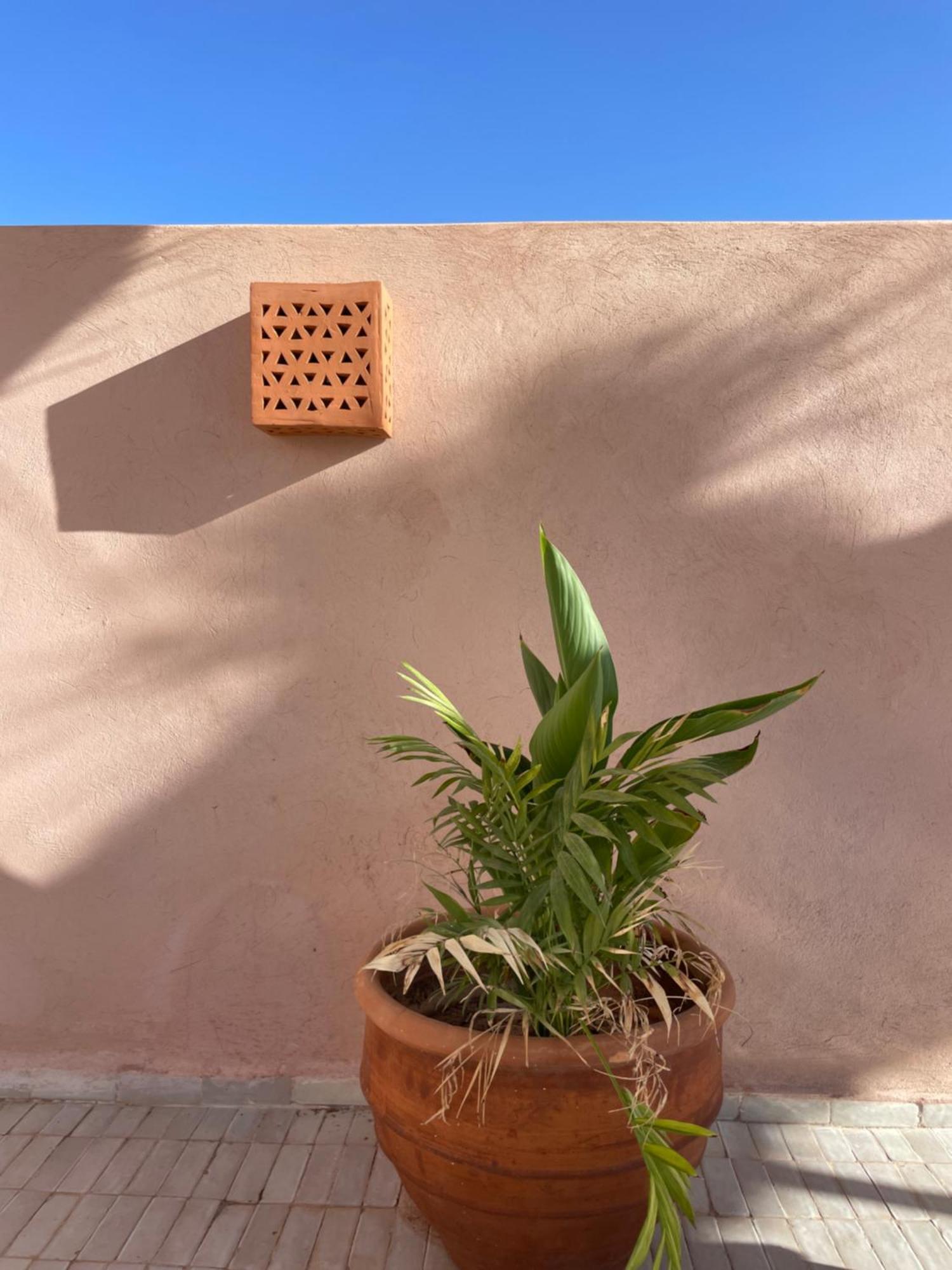 Roca Riad *