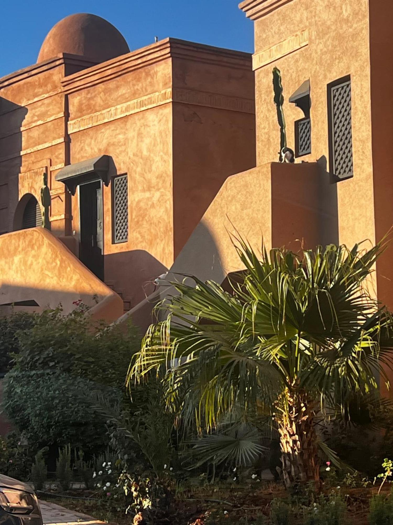 Your Getaway Oasis In The Lush Marrakesh