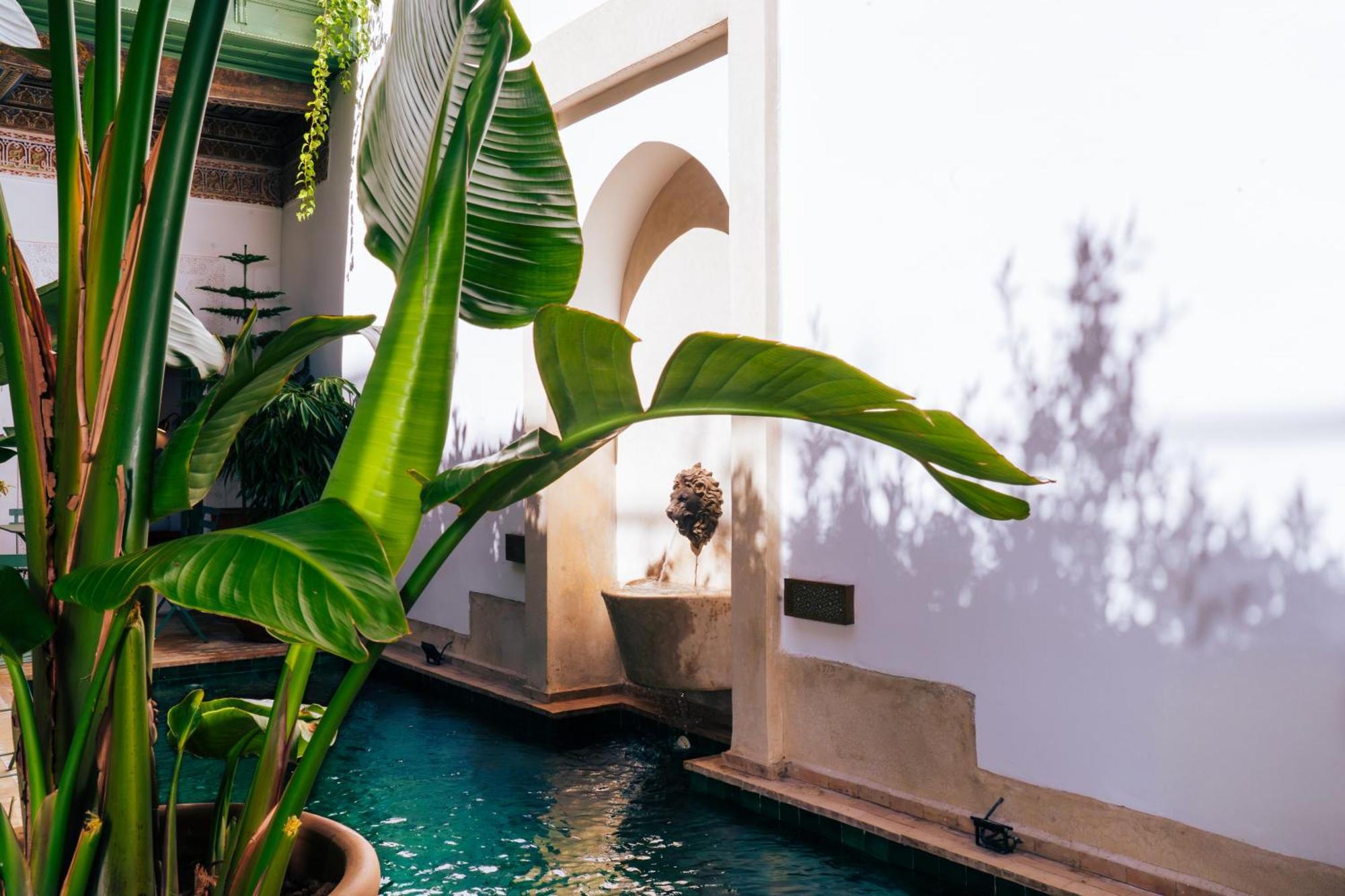 Dar Dounia Riad
