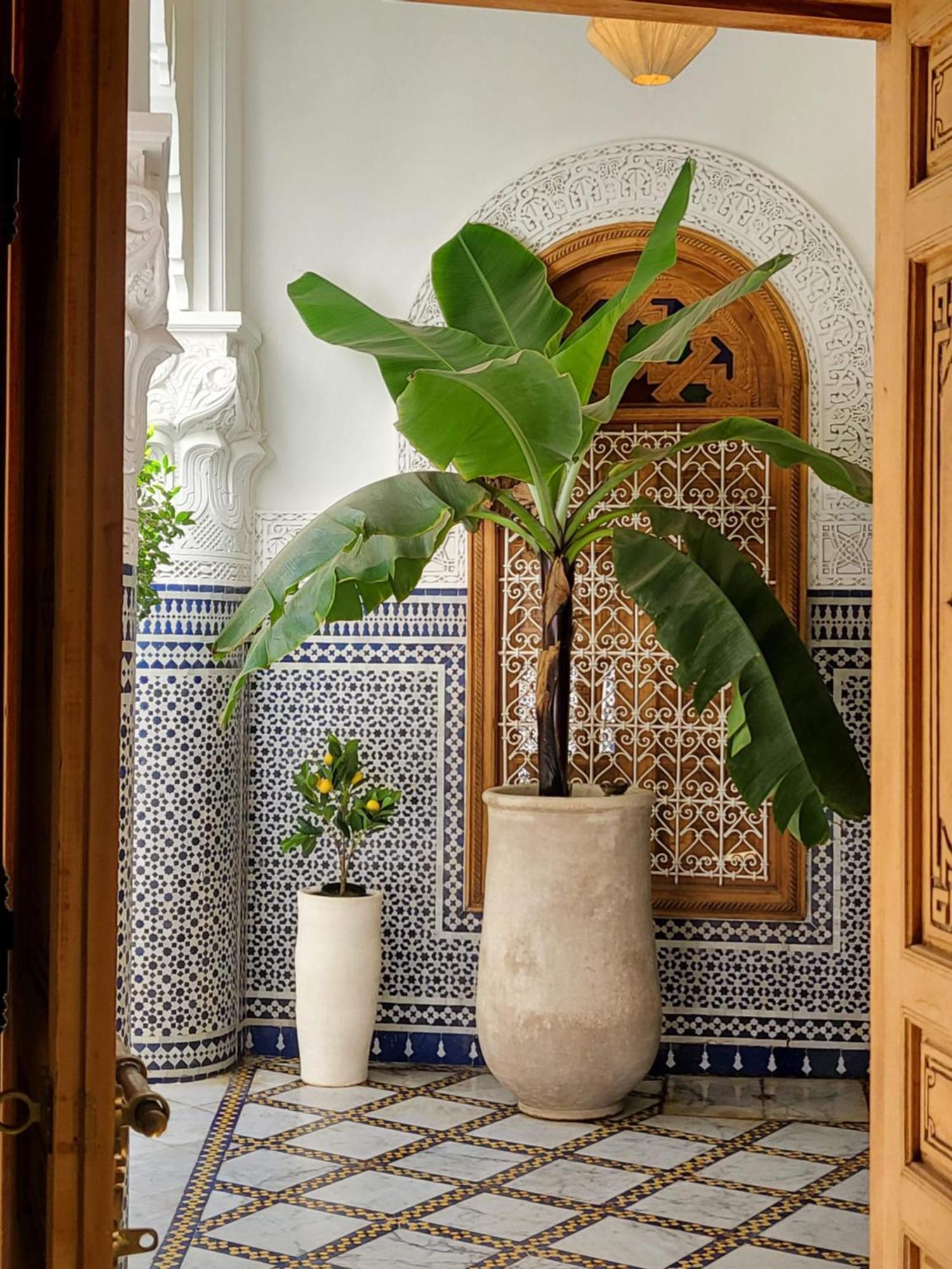 Tamazigh Maison d'hôtes *