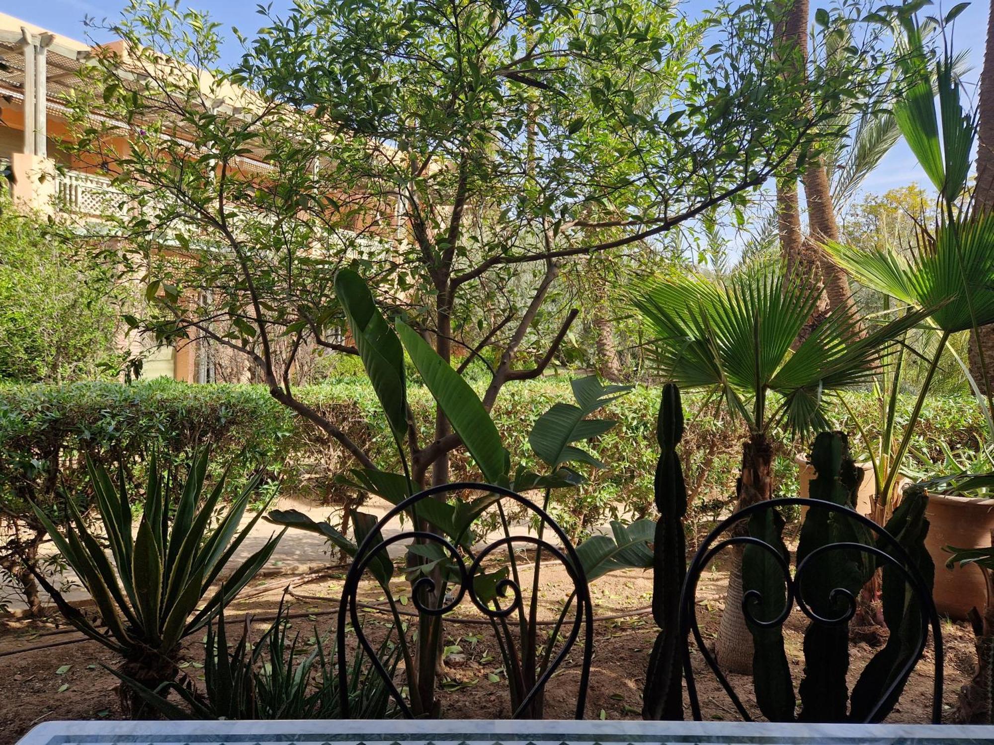 Les Jardins De La Palmeraie 2 Appartement