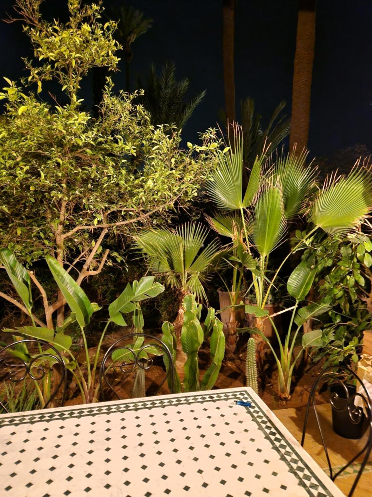 Appartement Les Jardins De La Palmeraie 2