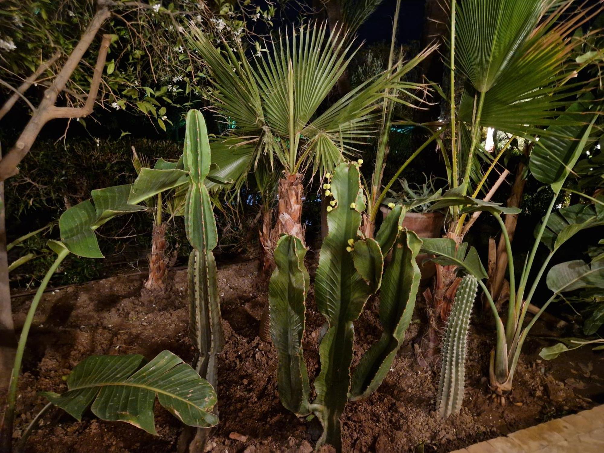 Les Jardins De La Palmeraie 2 Appartement *