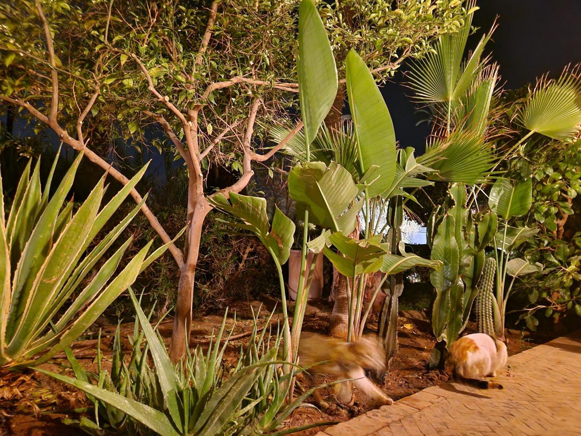Appartement Les Jardins De La Palmeraie 2 Marrakesh