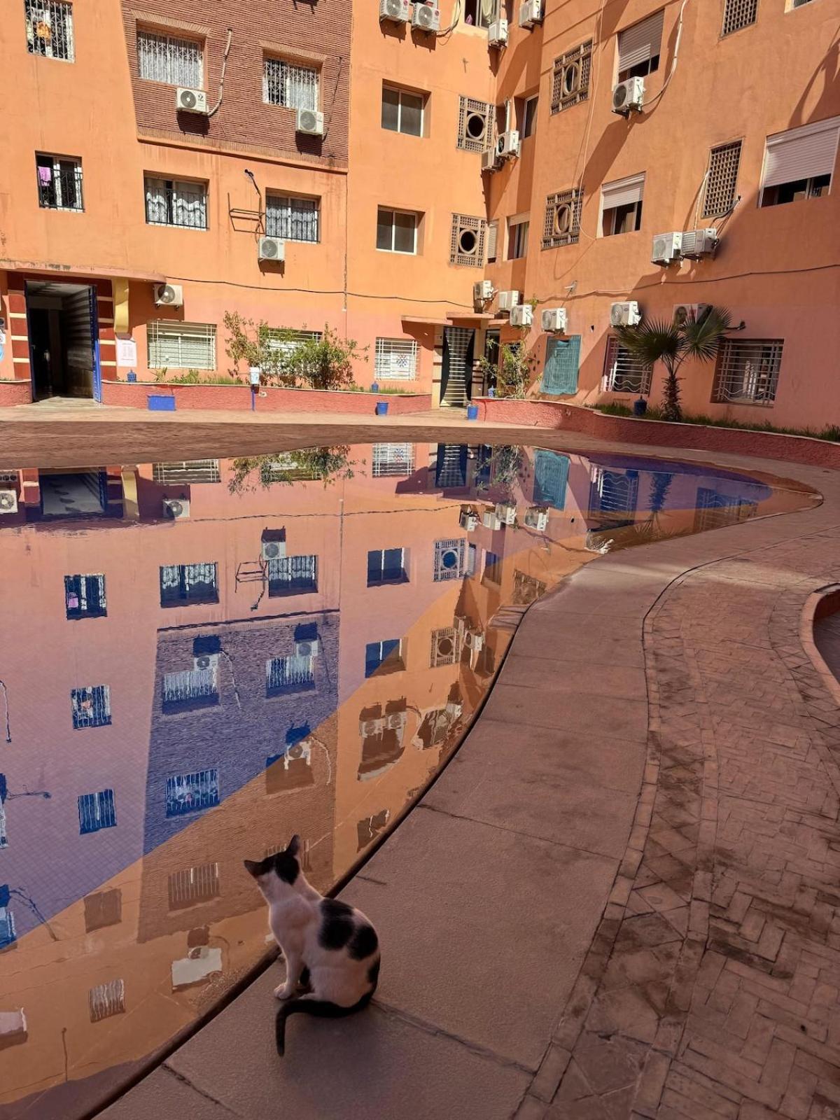Authentic Style In Gueliz For Family * Marrakesh