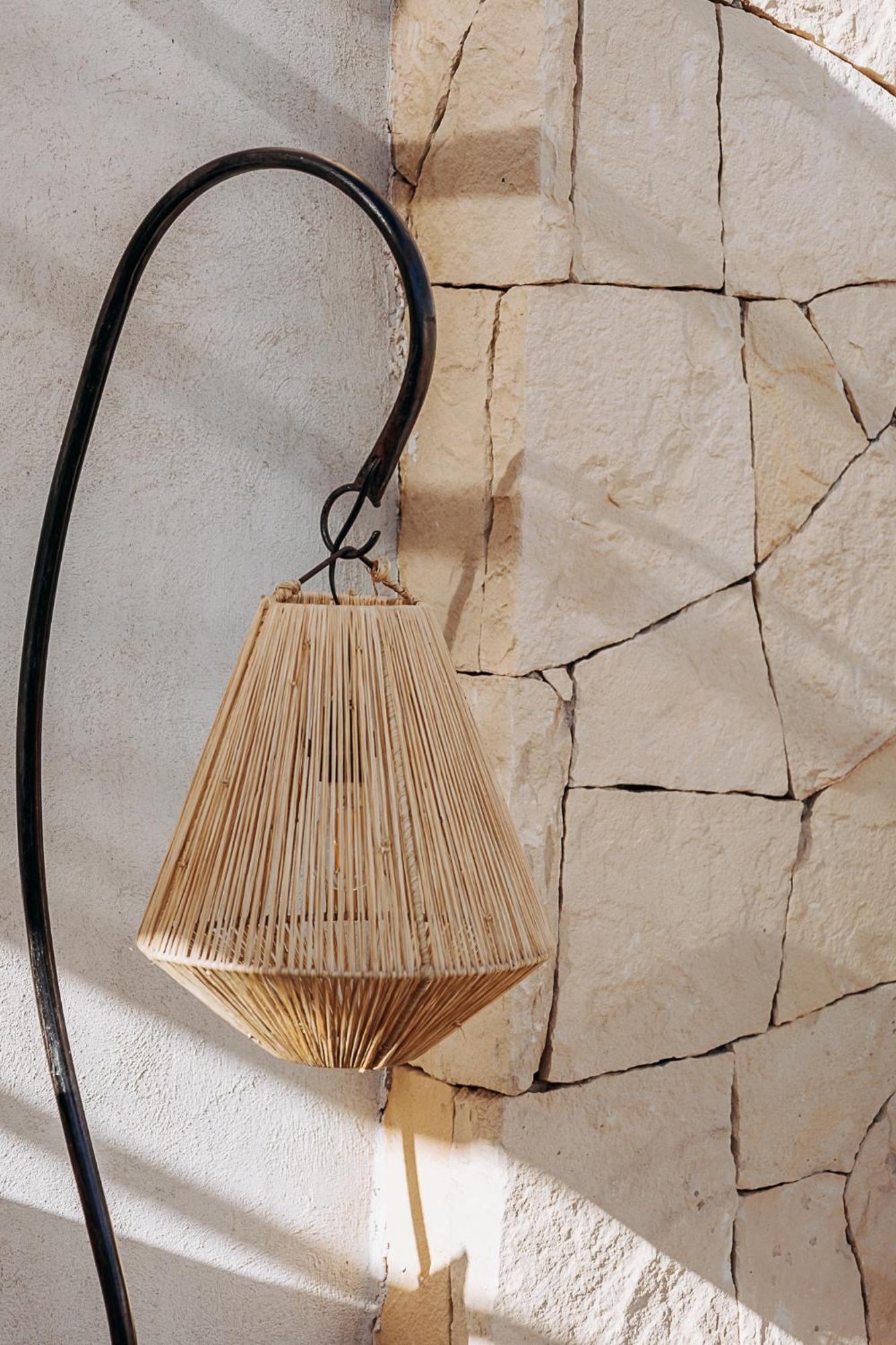 Wenge &