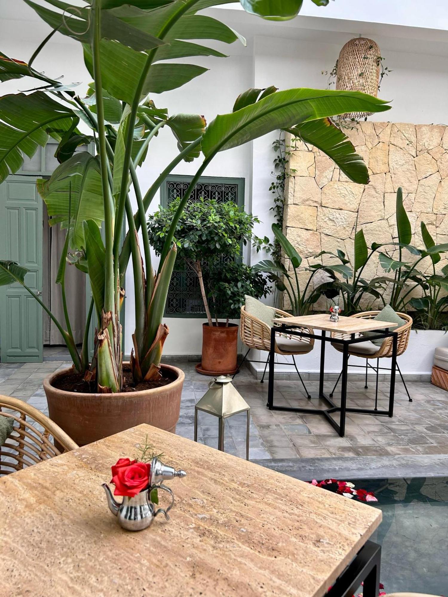 Riad Wenge &