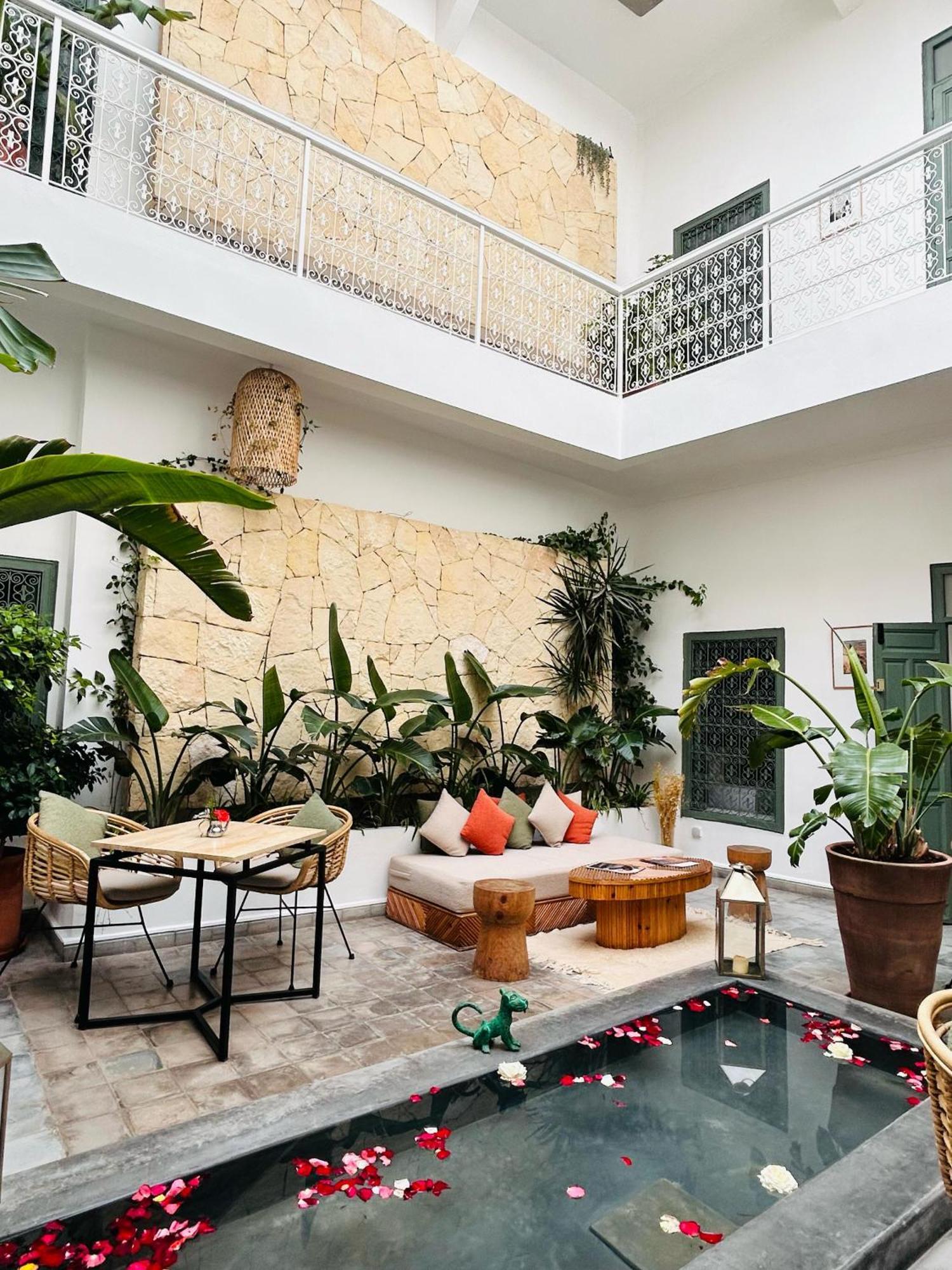 Riad Wenge & 4*