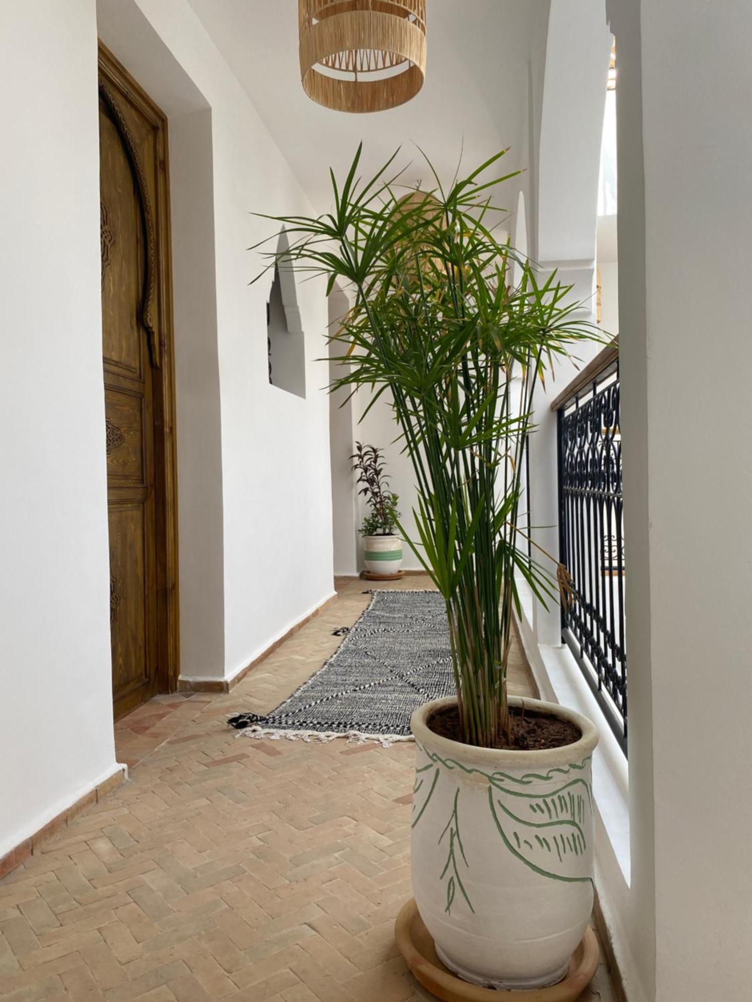 & Sous Le Soleil Chez Jerome Et Pamela Ch Zen Homestay