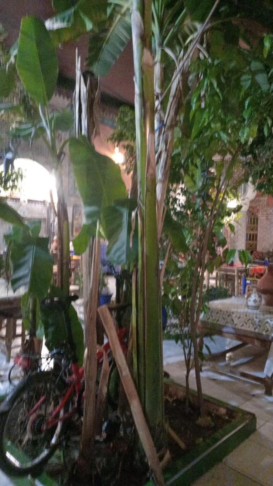 Carole - Perfect For Families & Groups Riad Marrakesh