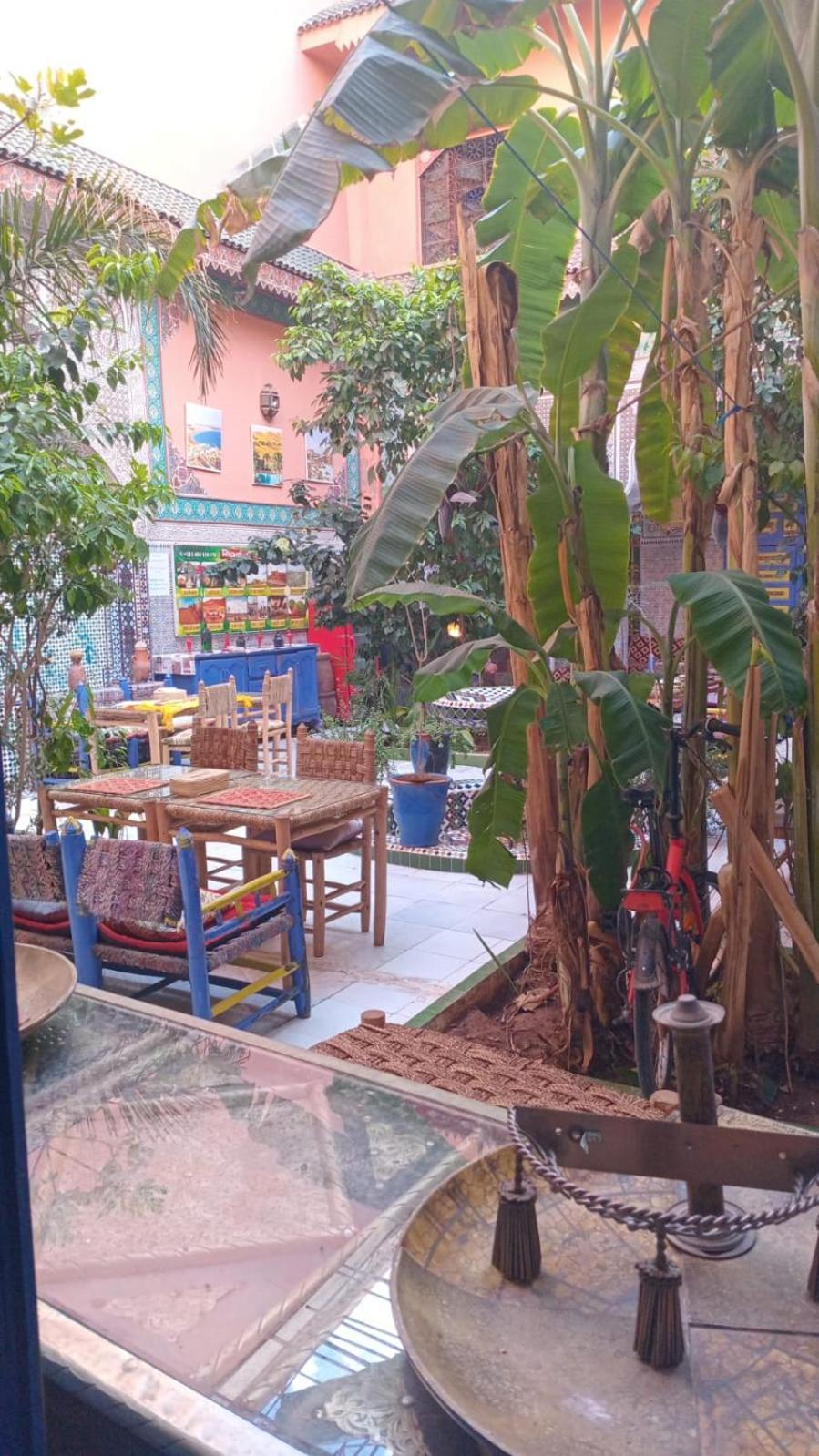 Carole - Perfect For Families & Groups Riad Marrakesh