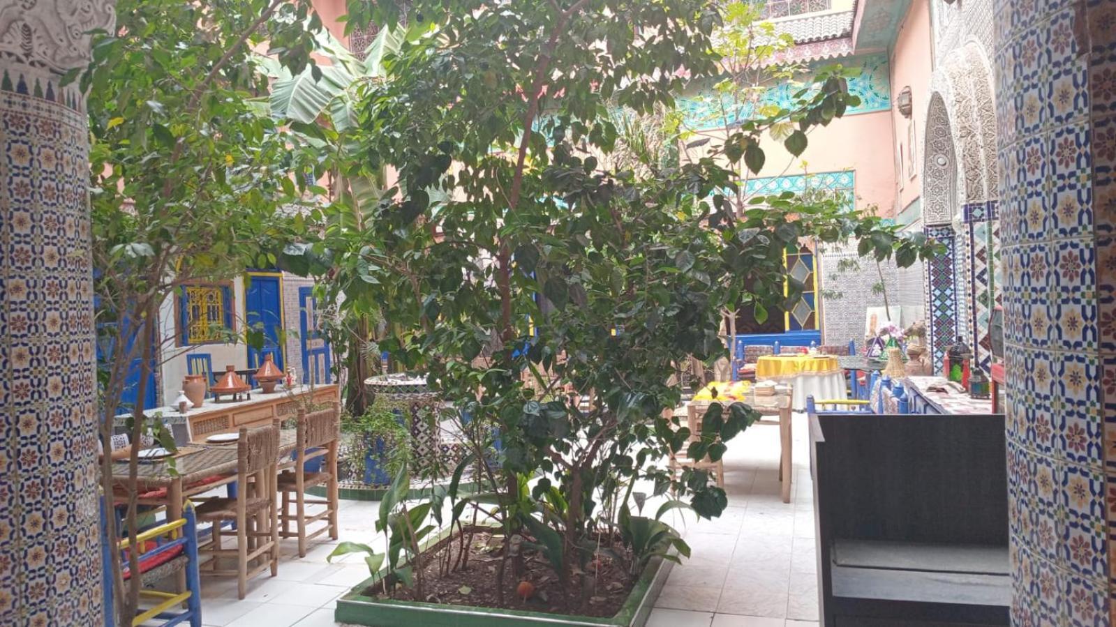 Carole - Perfect For Families & Groups Riad Marrakesh