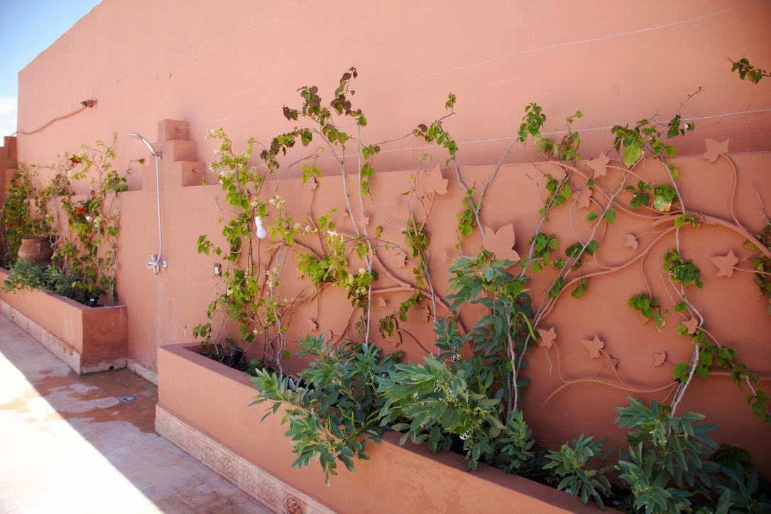 Riad Kech One & *