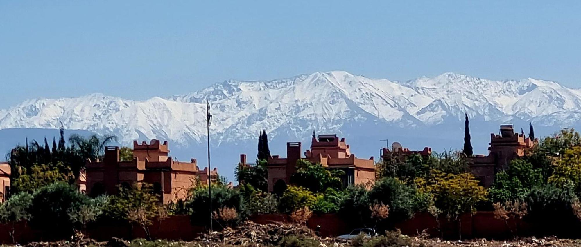 Garden Marrakesh