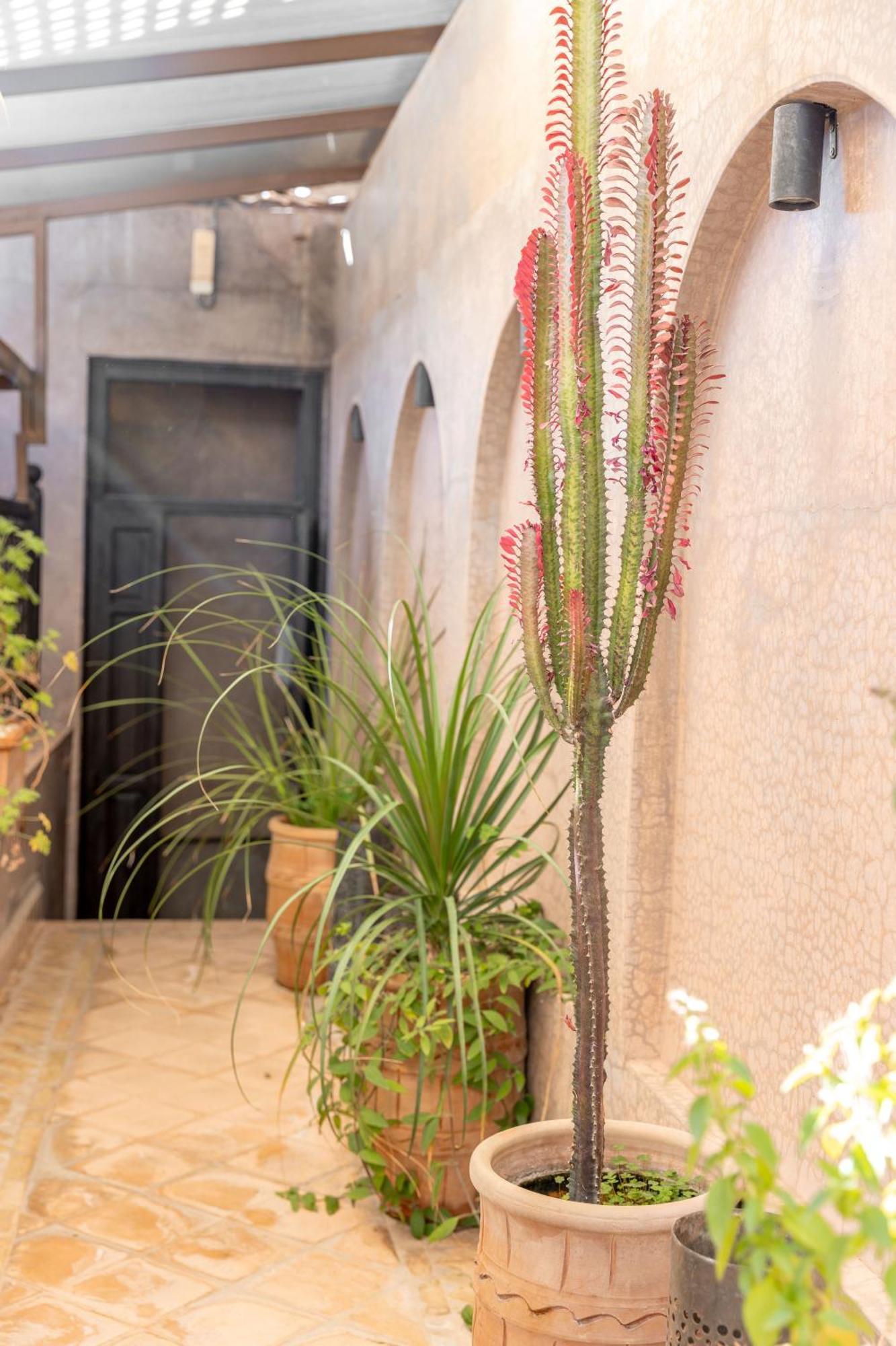 Dar Beija Bed & Breakfast Marrakesh