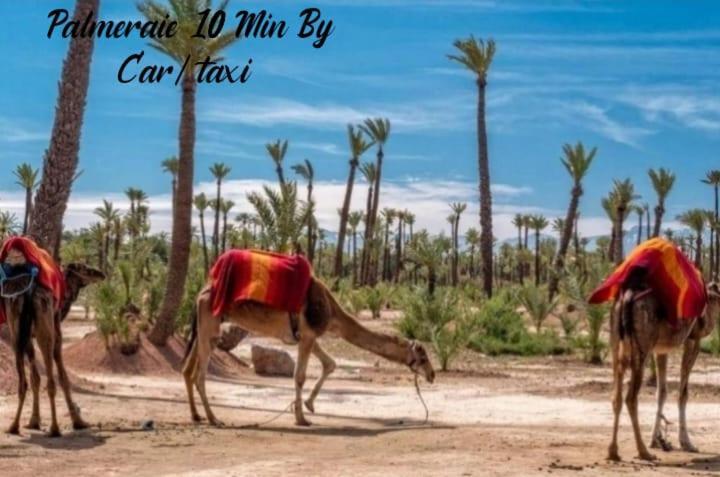 Propriete Calme De Vacances Village Privee 2 Chambres Avec Piscines Appartamento *