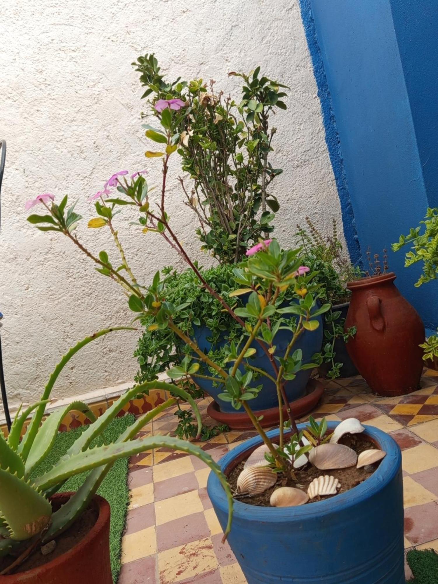 Alloggio in famiglia Derb El Aarsa Marrakesh