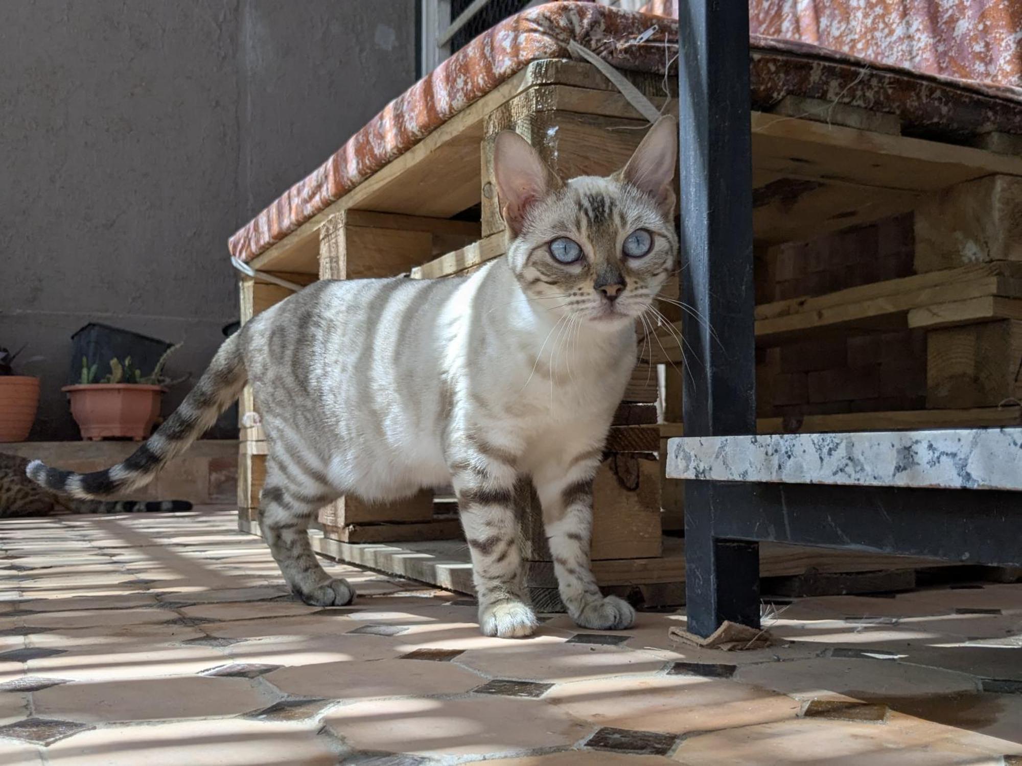 Dar Saida * Marrakesh