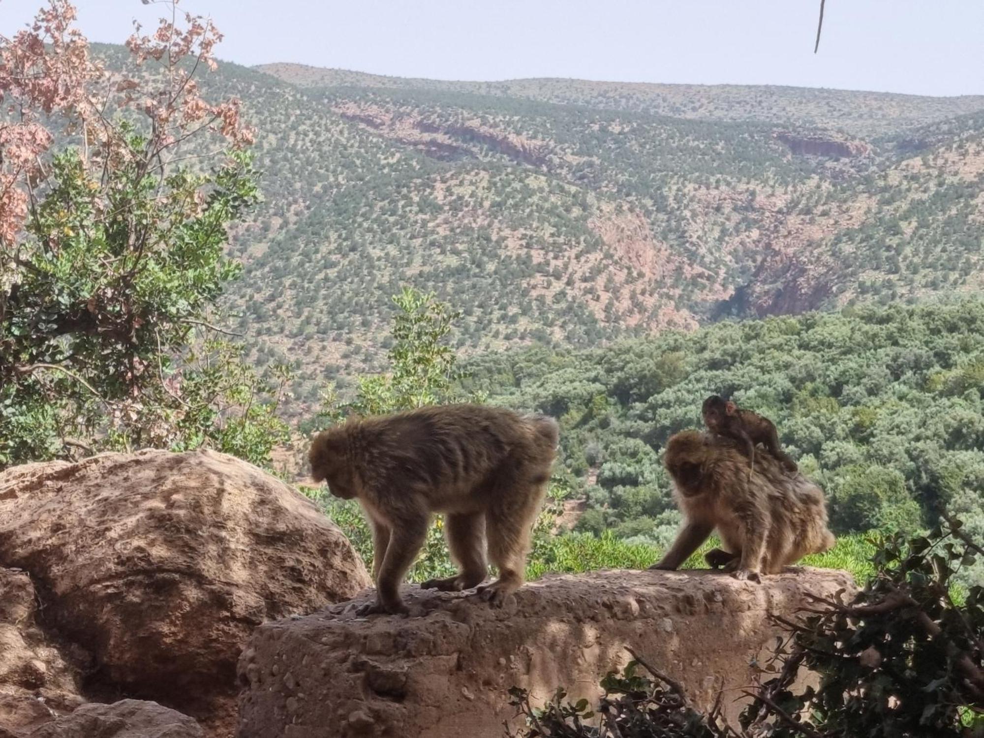 Dar Jules Marrakesh