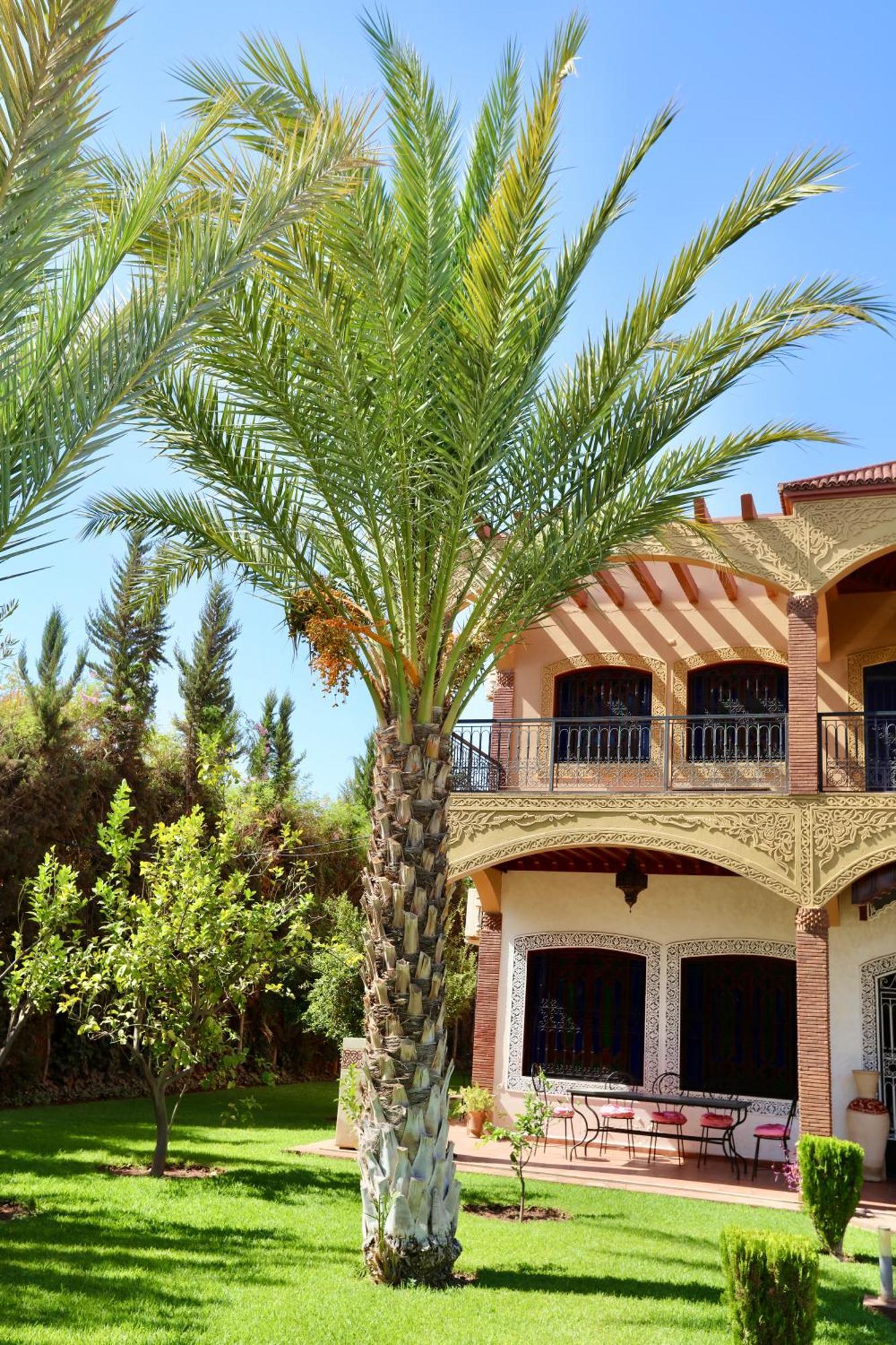 Les Terrasses Des Jardins Riad *