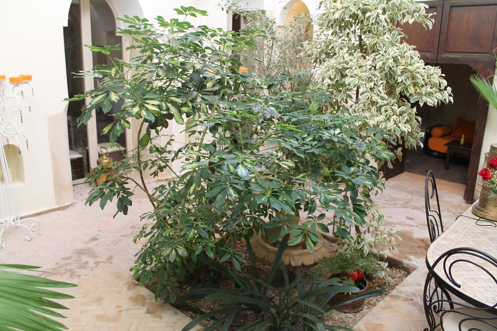 Yassmine House Riad 3*