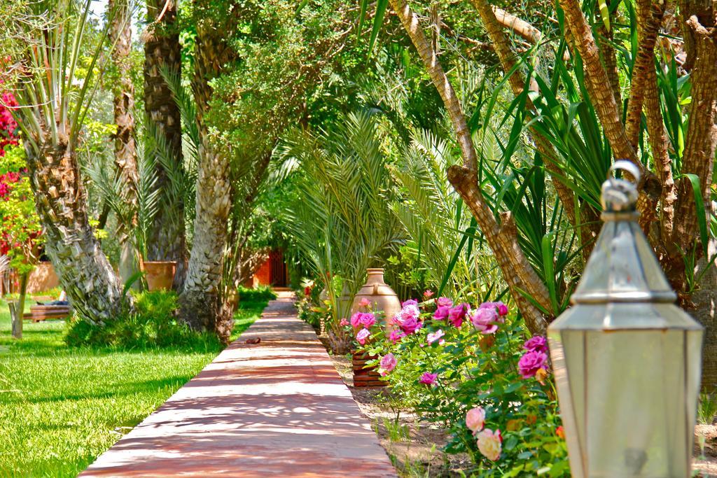 Affittacamere Dar Ayniwen Garden & Bird Zoo Marrakesh