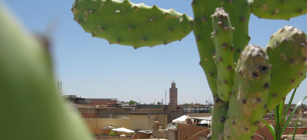 Douarskoll Marrakesch